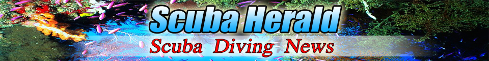 Scuba Diving News